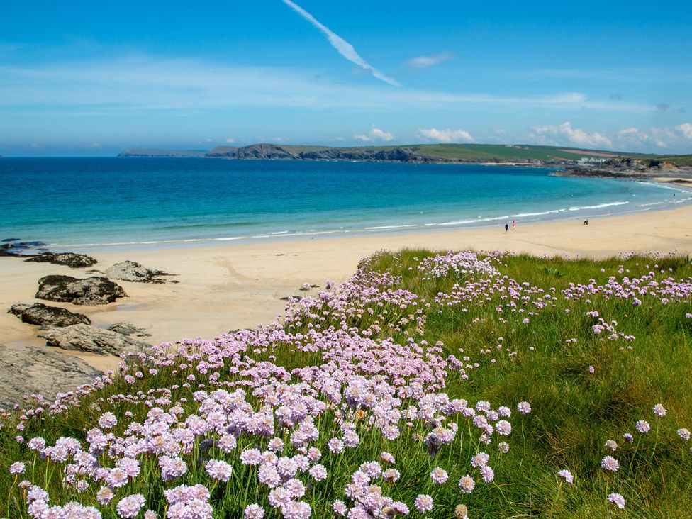 A beach with sand and flowers at Trelowen in St Issey near Padstow