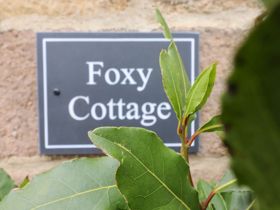 Foxy Cottage - Yorkshire Dales - 1102485 - thumbnail photo 4