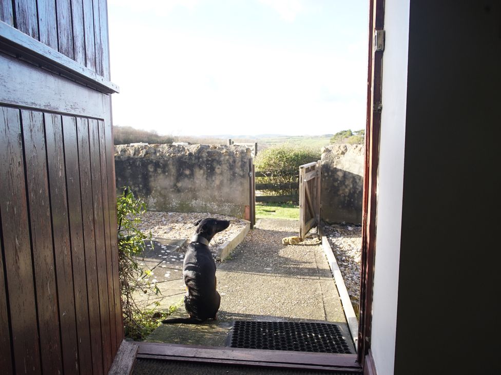 A dog sitting at the entrance with a view of the garden at The Sty in Bridport