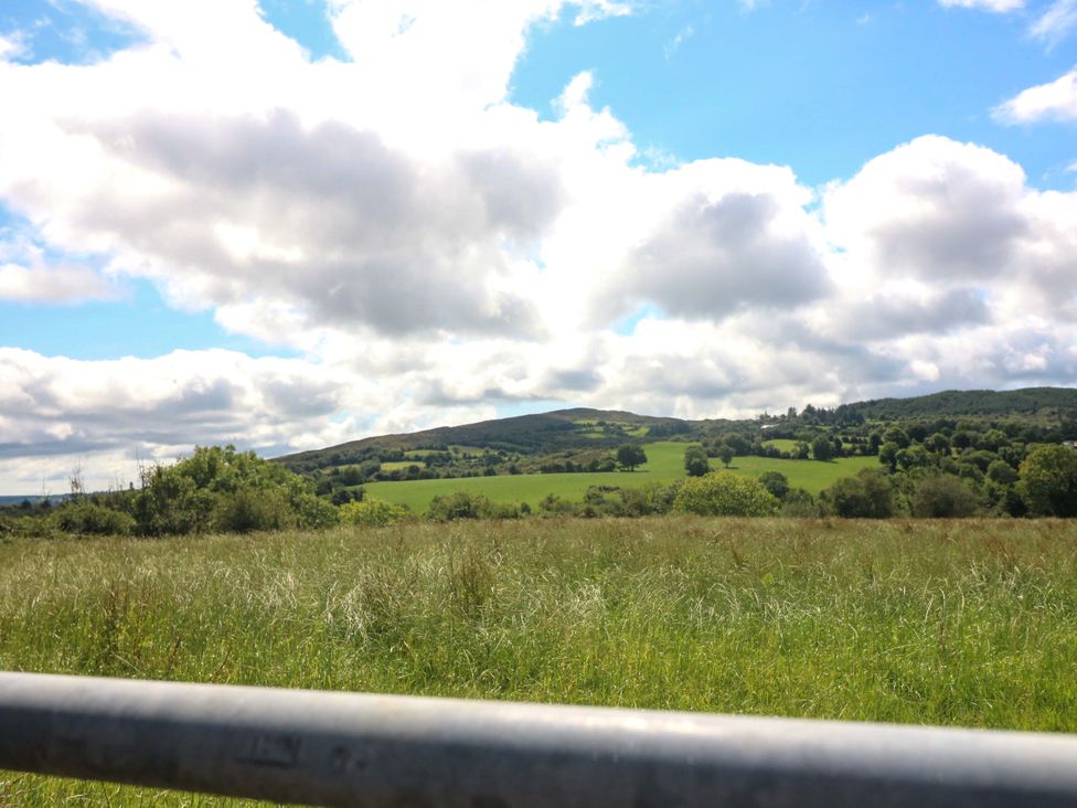 A field with grass and trees in the background at Waterfall House in Dunmanway, County Cork