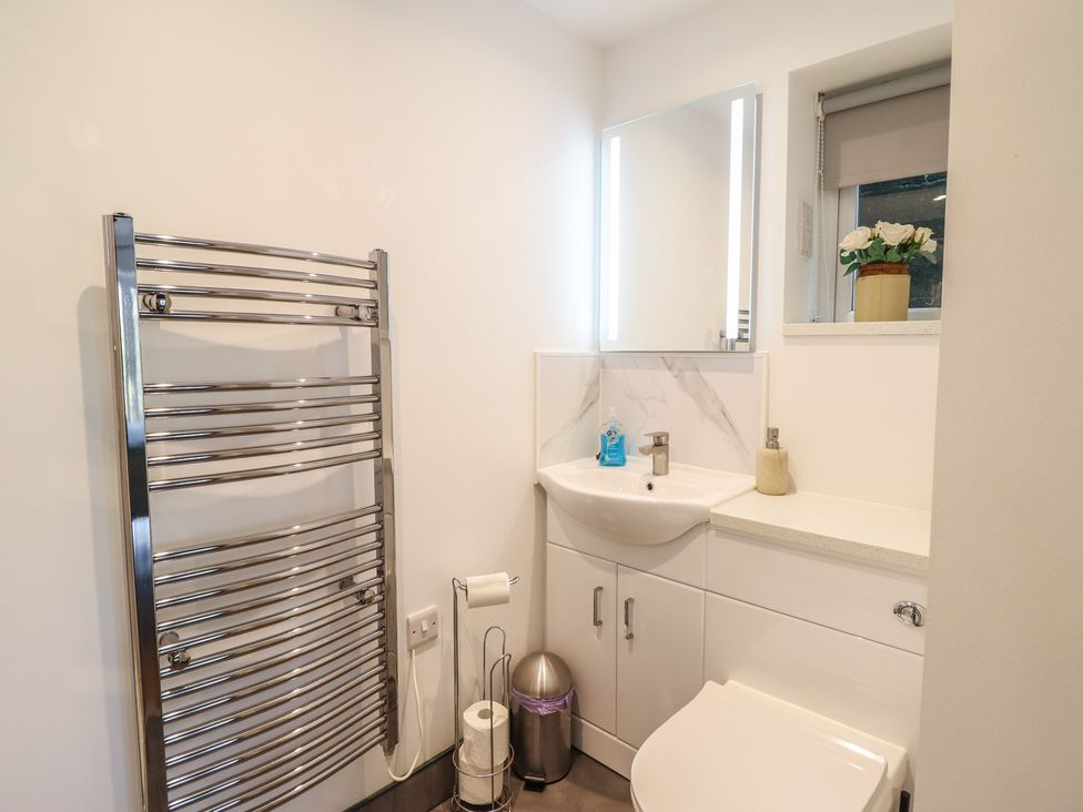 A bathroom featuring a toilet and hand basin at Alwyn Cottage in Froncysyllte