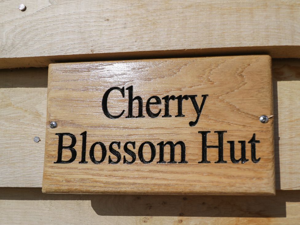 Cherry Blossom - Cotswolds - 1103645 - thumbnail photo 2