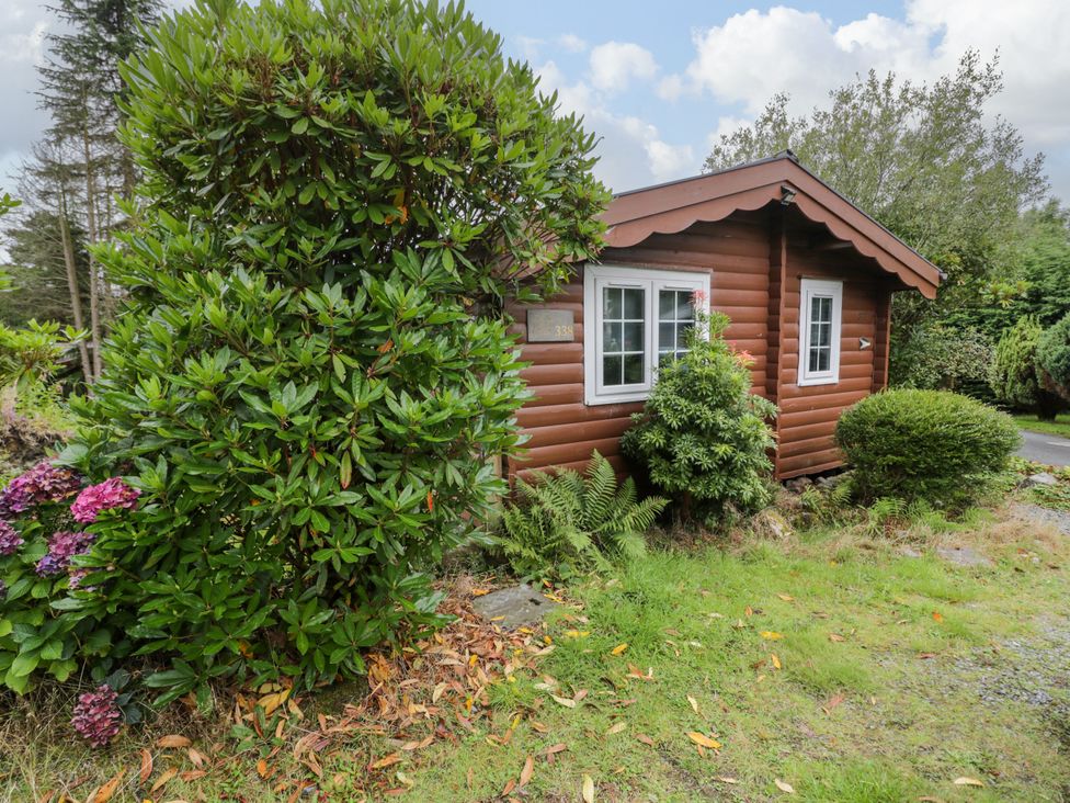 A log cabin with windows and greenery at Babbling Brook in Bron Aber near Blaenau Ffestiniog