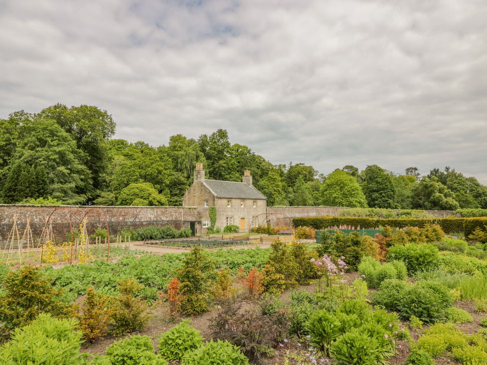 Garden House - Culzean Castle - Scottish Lowlands - 1104228 - thumbnail photo 27