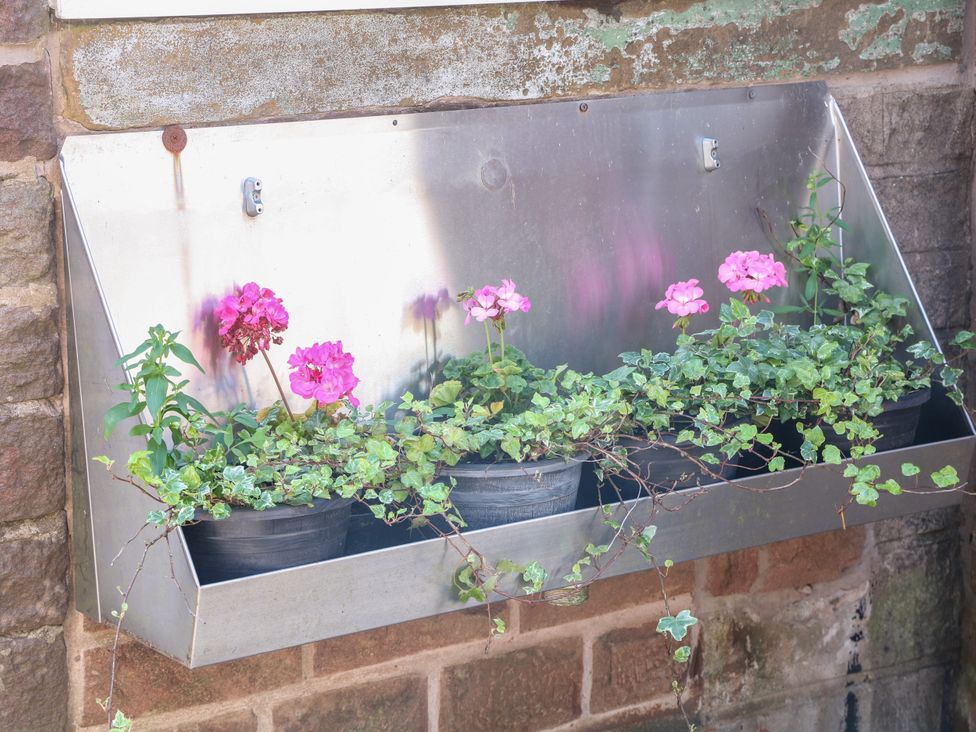 A planter with flower pots containing pink flowers and ivy at The Netty in Flash