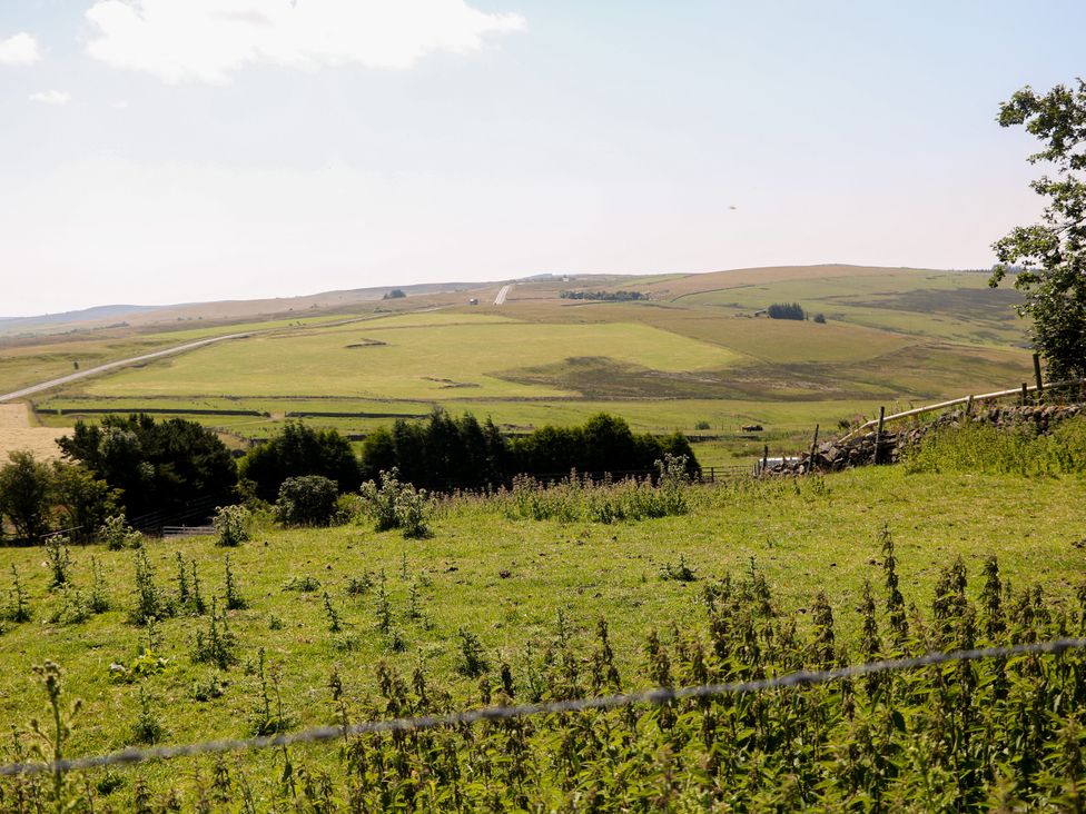 A landscape with fields and a road at The Netty in Flash
