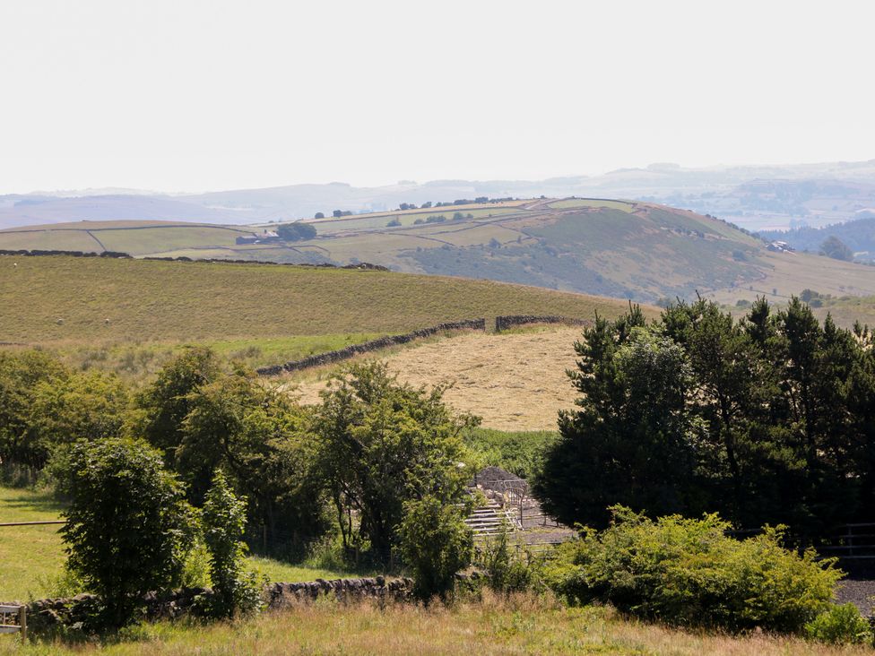 A view of hills and fields with trees and a stone wall at The Netty in Flash