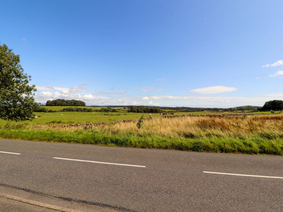 A view of fields and trees beside a road at The Paddock in Kirkcowan