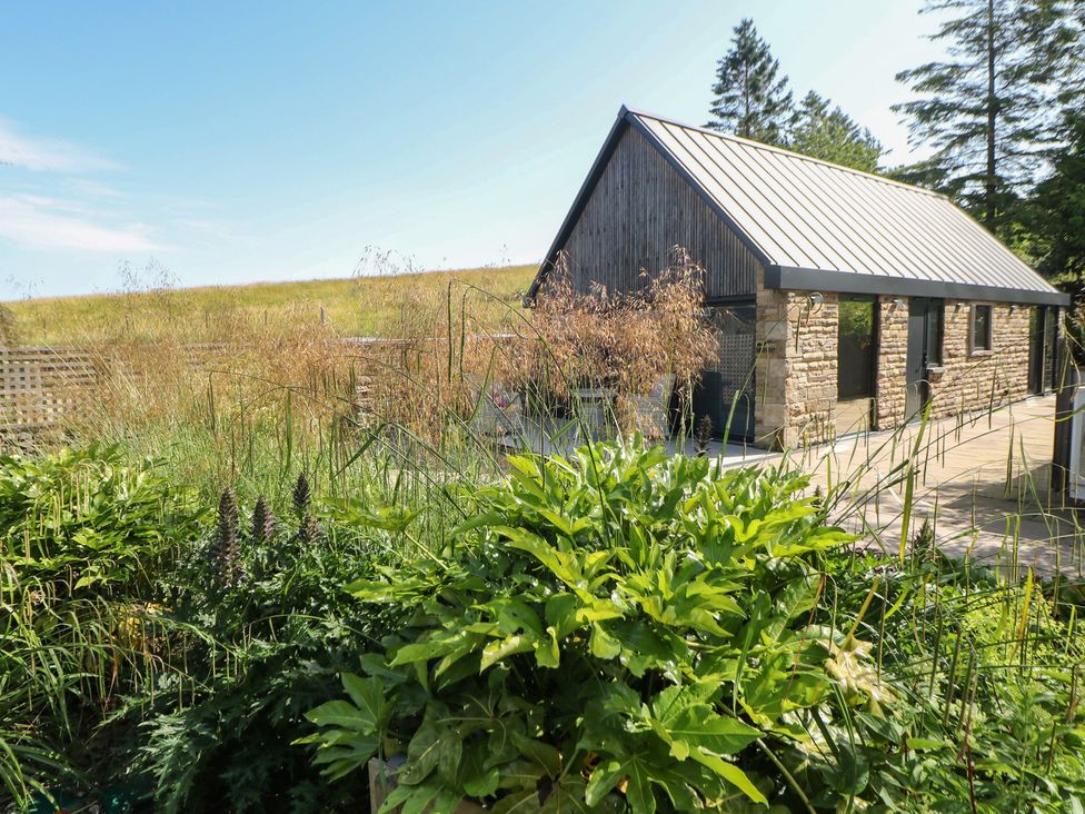 A garden with a building and greenery at Overlea Coach House in Hayfield