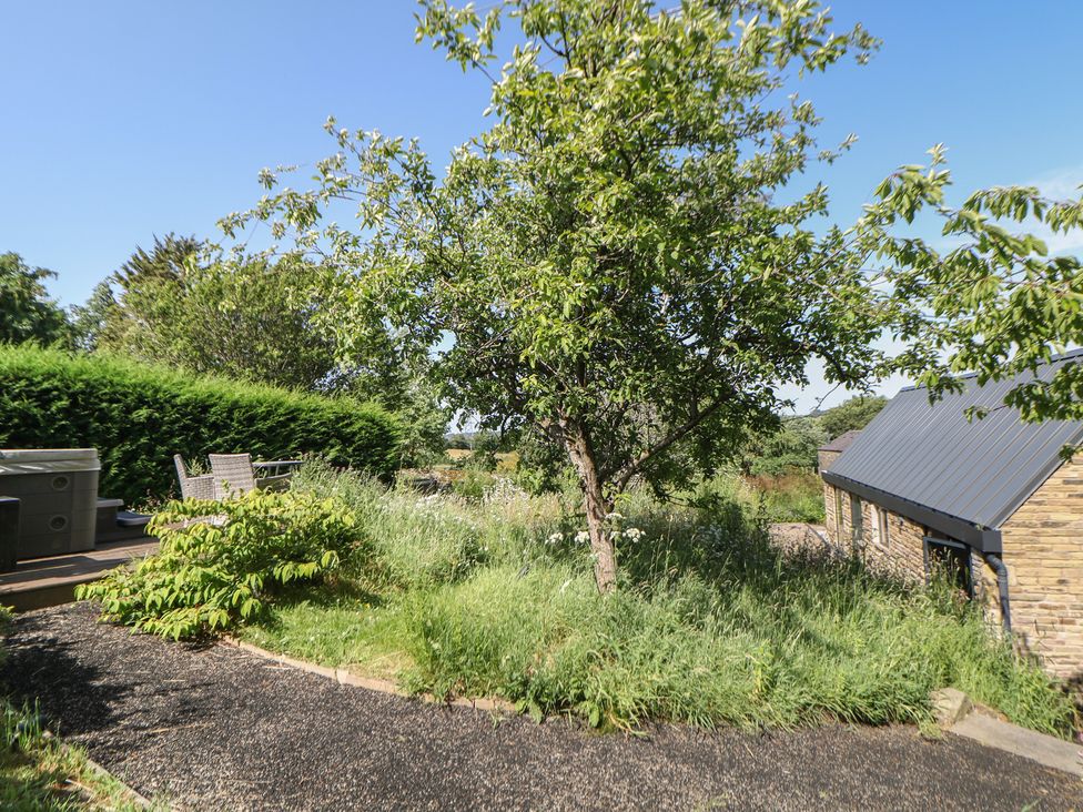 A garden with a tree and a hot tub at Overlea Coach House in Hayfield