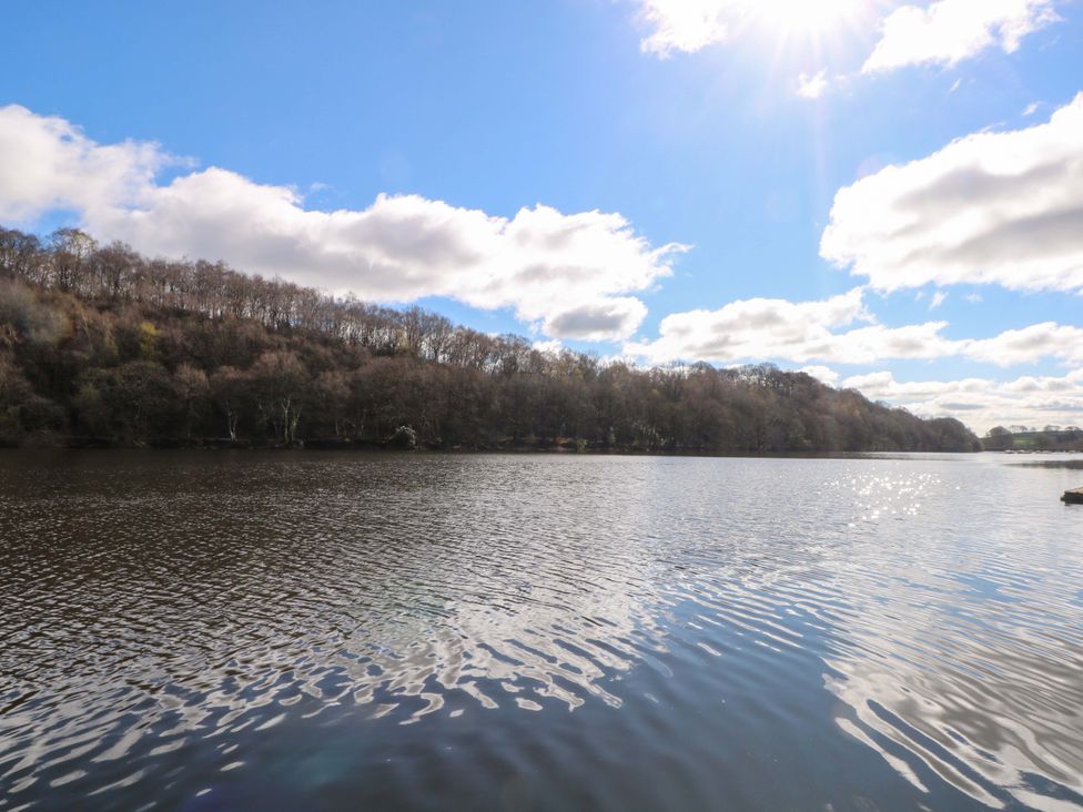 A view of a lake surrounded by trees at The Bothy in Leek
