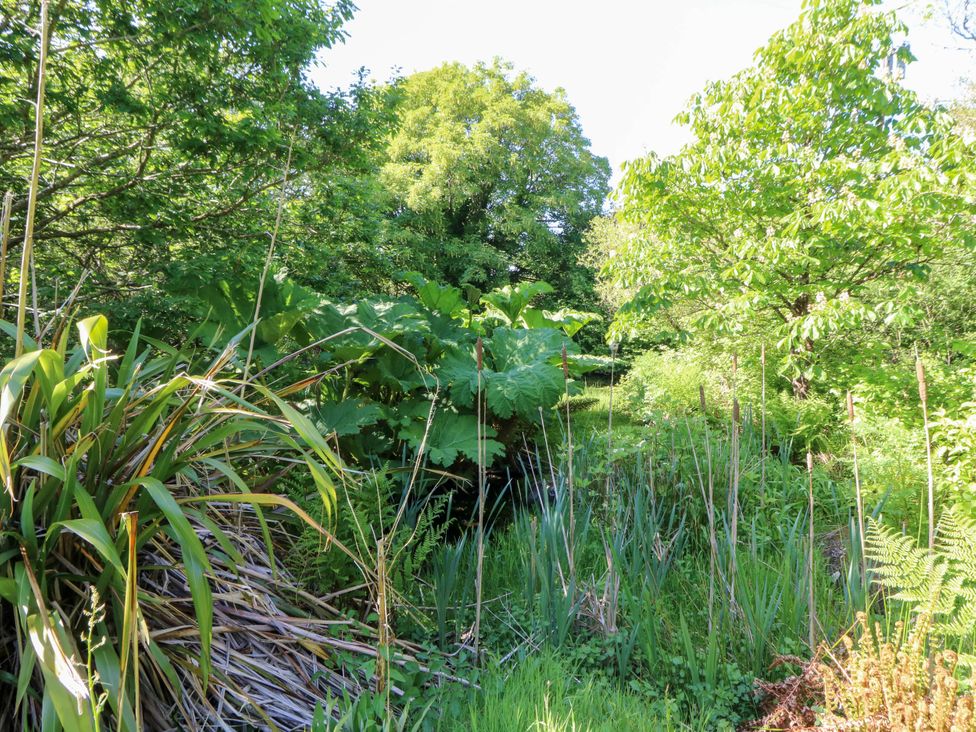 Penfeidr - South Wales - 1104816 - thumbnail photo 20
