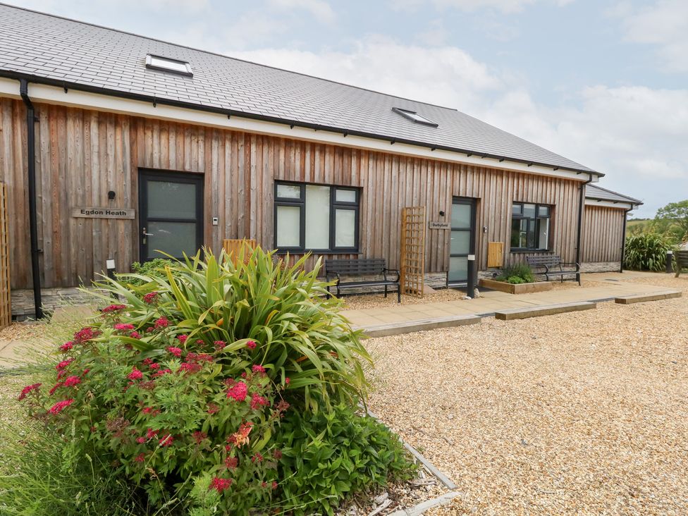 An outdoor view of a building with plants at Egdon Heath in Nottington near Weymouth