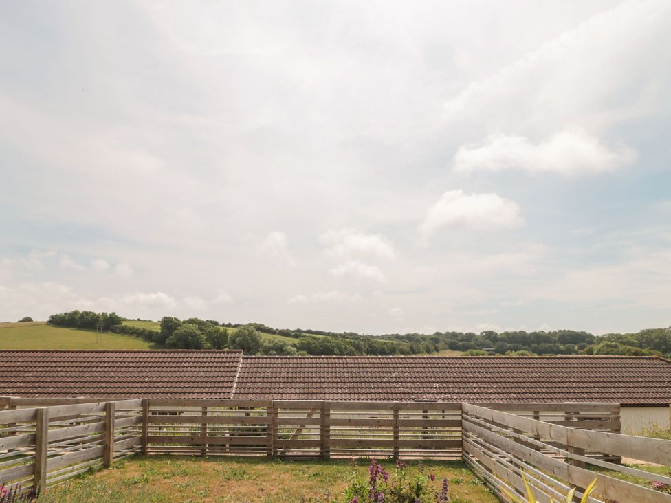 Egdon Heath - Dorset - 1105450 - thumbnail photo 25