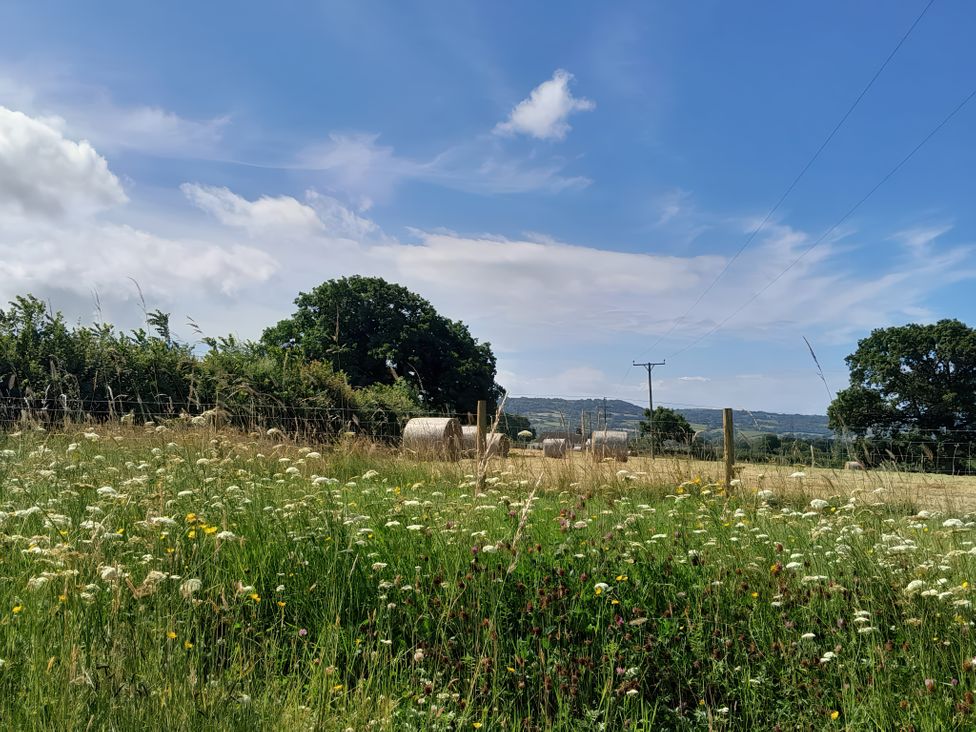 Broadstones - Dorset - 1105472 - thumbnail photo 29