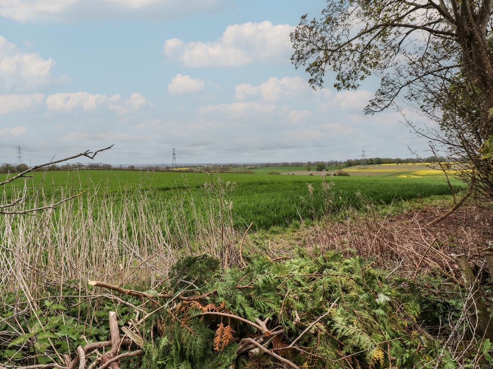 A landscape with grass and trees at Country Retreat in Ponteland