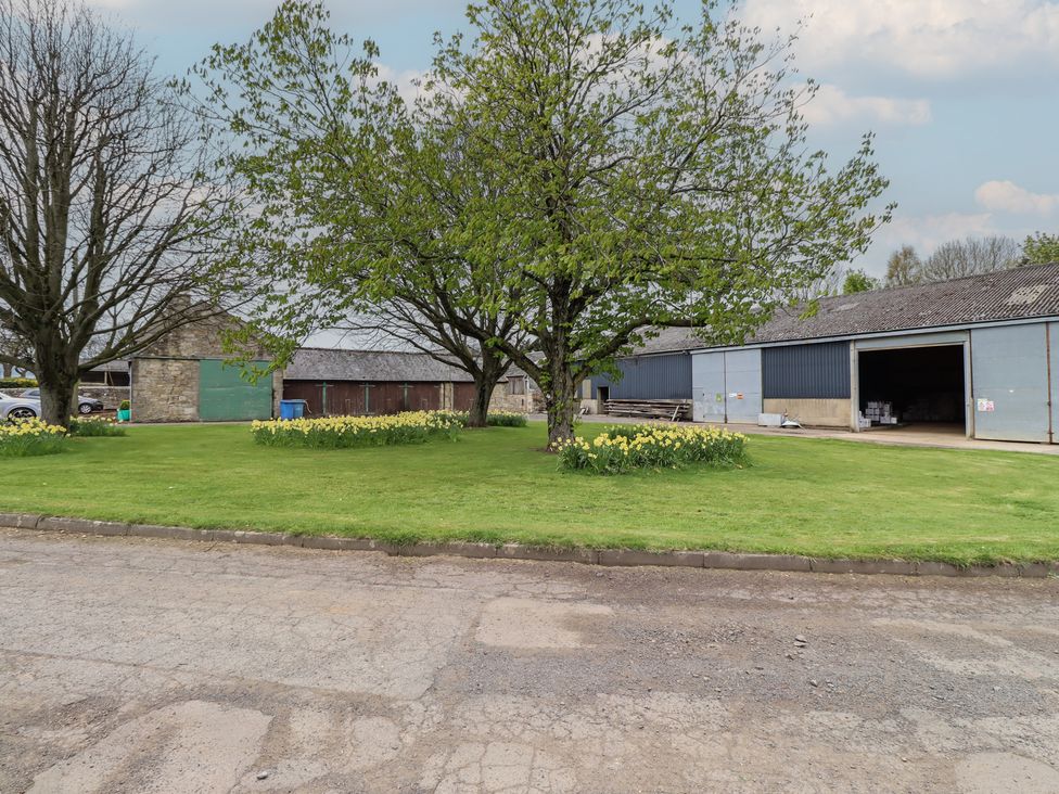 An outdoor area with a tree and buildings at Country Retreat in Ponteland