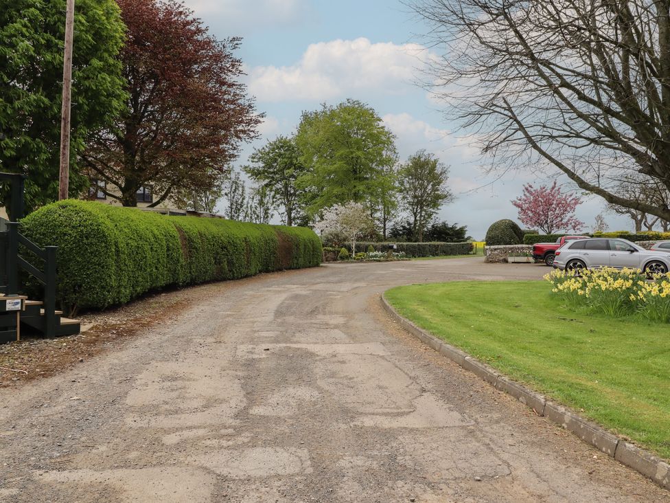 A driveway with landscaped bushes and trees at Country Retreat in Ponteland