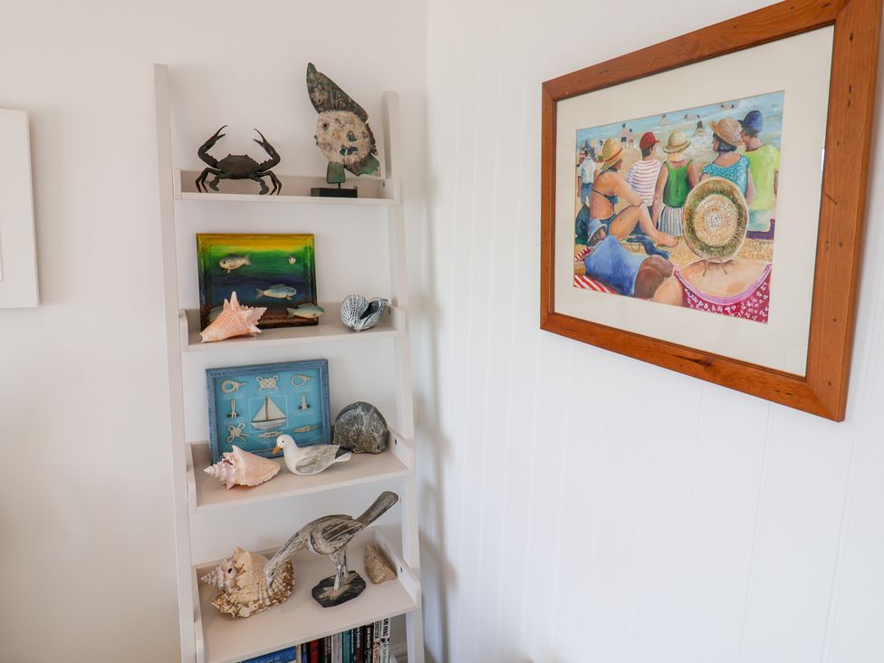 A shelf with seashells and a crab in a living room at Seagull in Lyme Regis