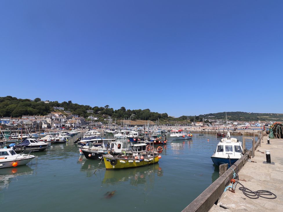 A harbor with boats and houses at Gosling Way in Lyme Regis