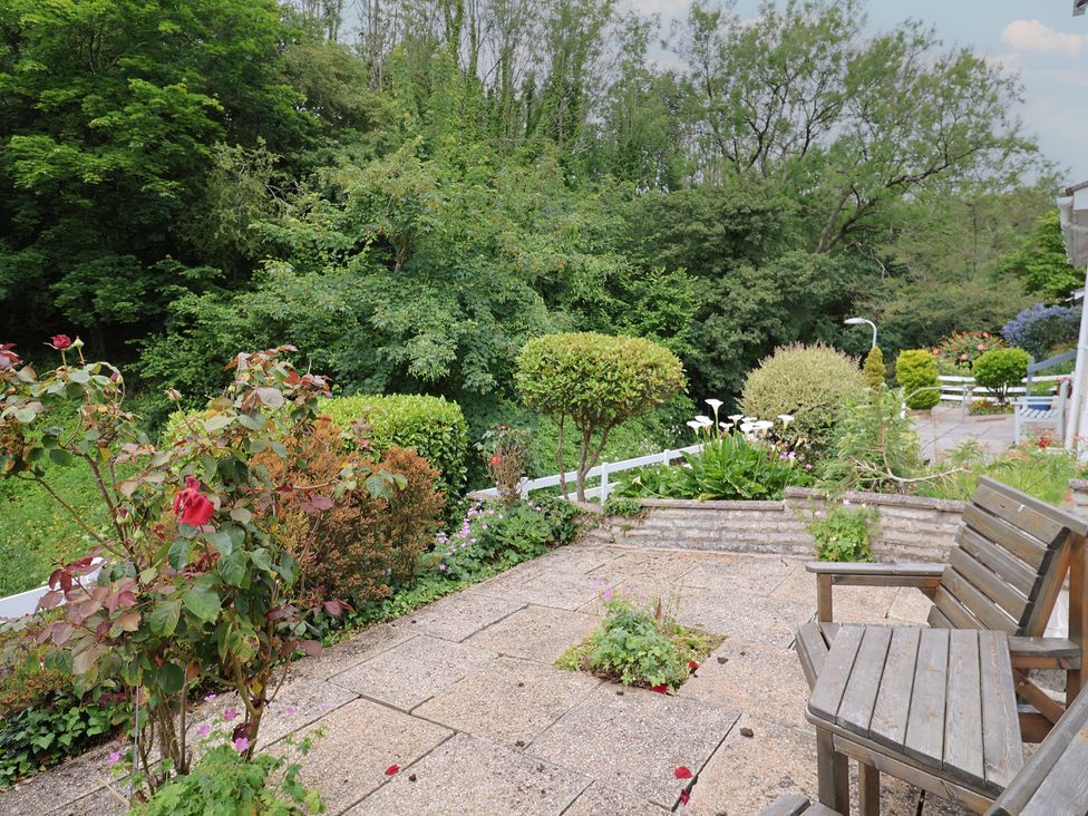 A garden with roses and benches at High Trees in Lyme Regis