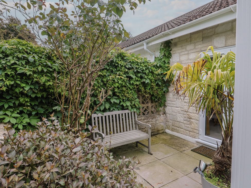 A garden with a bench and plants at High Trees Lyme Regis