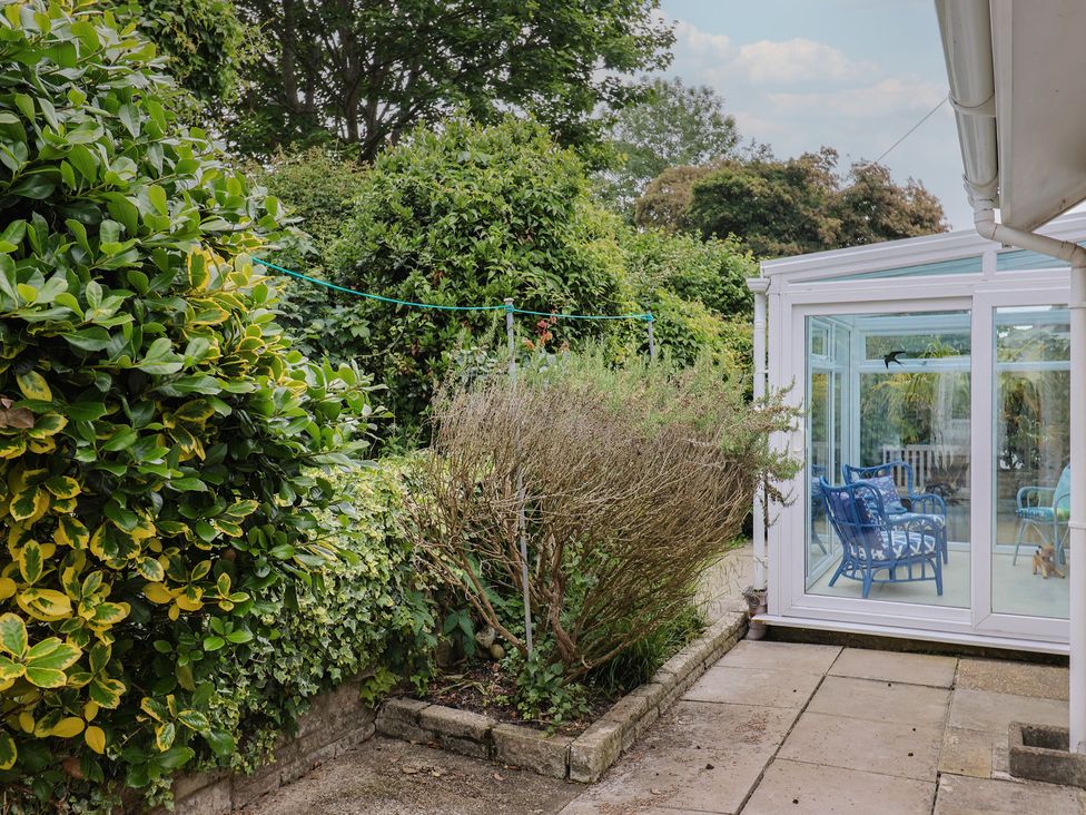 A garden with a conservatory and greenery at High Trees in Lyme Regis