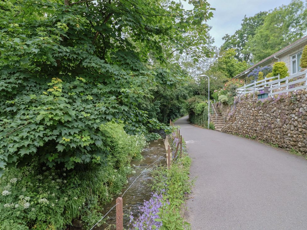 A road beside a stream with trees and a house at High Trees in Lyme Regis