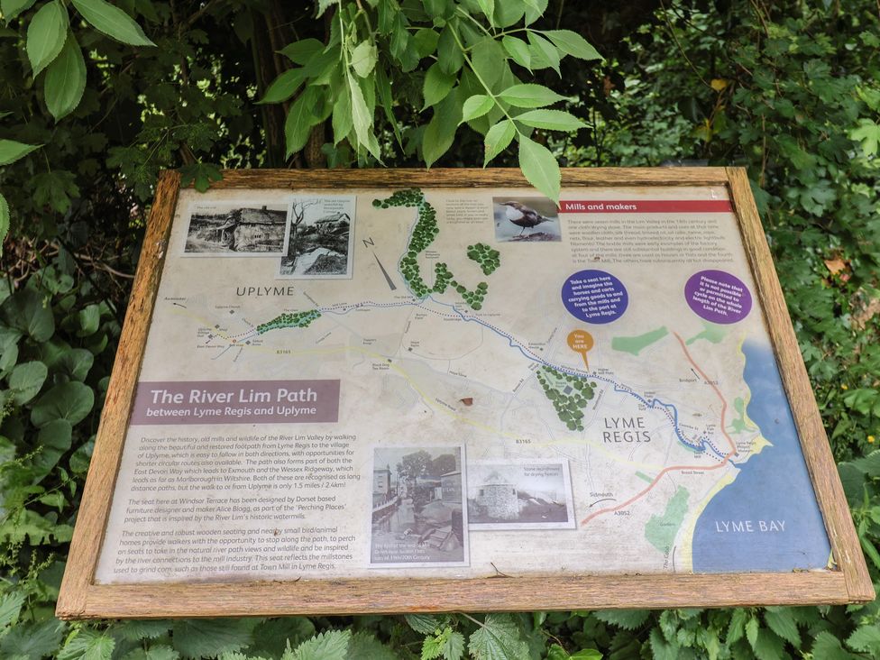 A map and information board about the River Lim Path between Lyme Regis and Uplyme at High Trees Lyme Regis