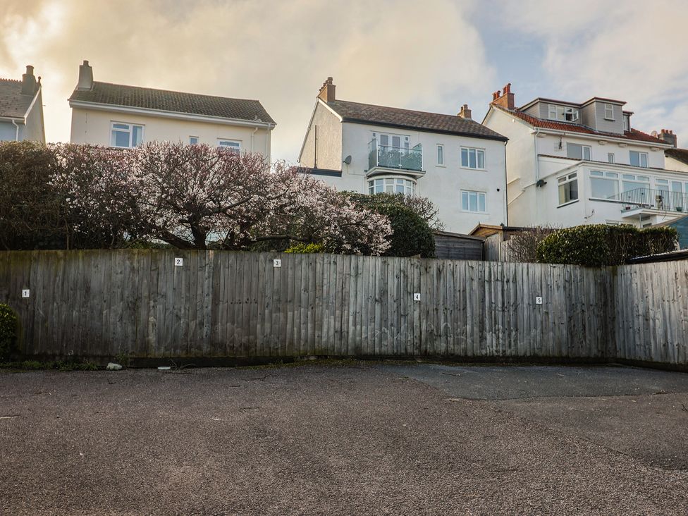 A view of houses and flowering bush at Greystones Lyme Regis