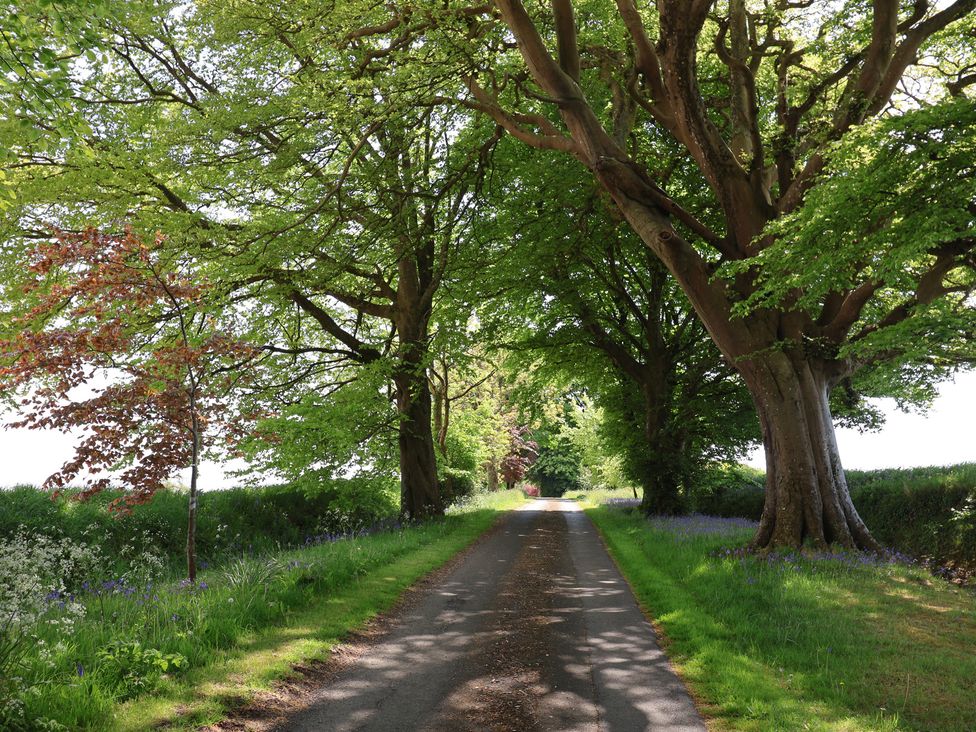 Lynch Cottage - Devon - 1106192 - thumbnail photo 40