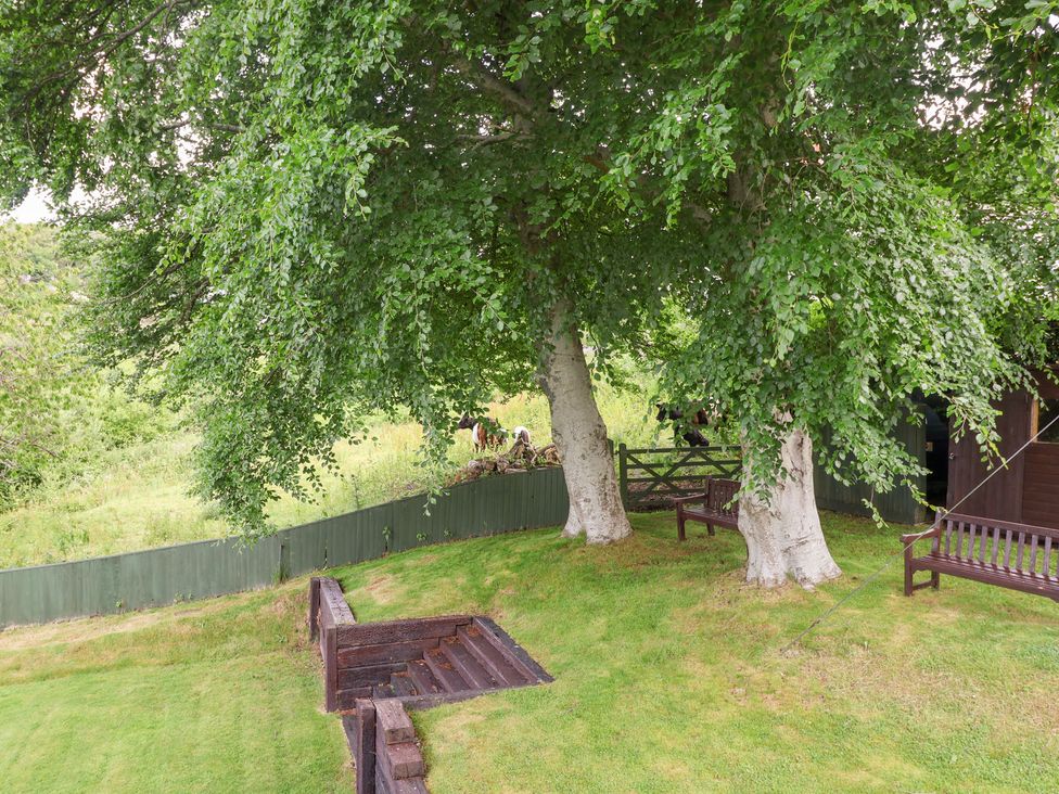 A garden with trees and a fence at Barn Close Farm Morcombelake