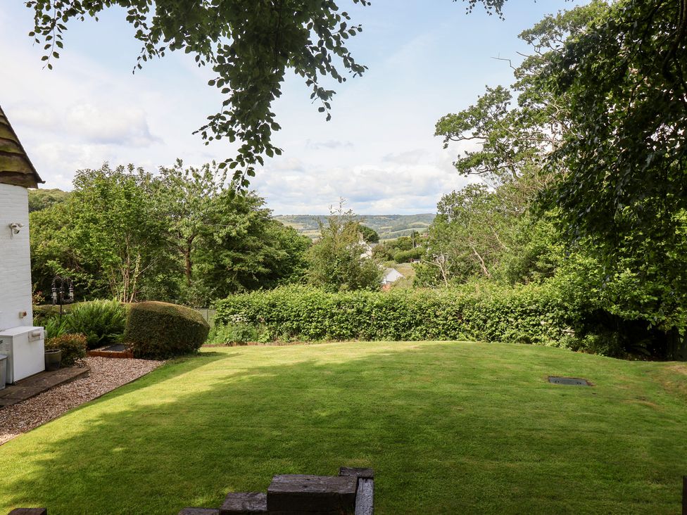 A garden with grass and trees at Barn Close Farm, Morcombelake