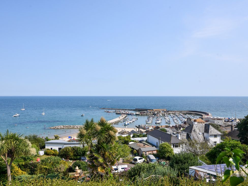 A view of a harbor with boats and buildings at 1 Wellhayes in Lyme Regis