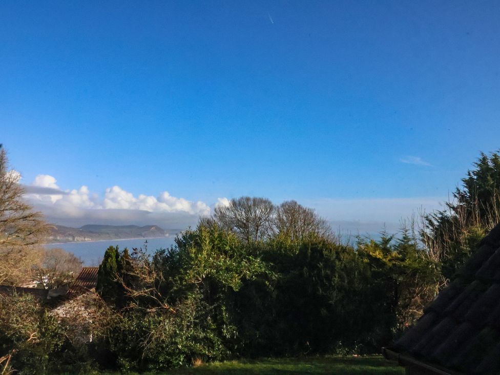 A view of water and trees from High Cliff Orchard in Lyme Regis