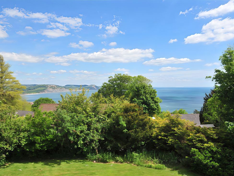 A view of the sea and trees at High Cliff Orchard in Lyme Regis