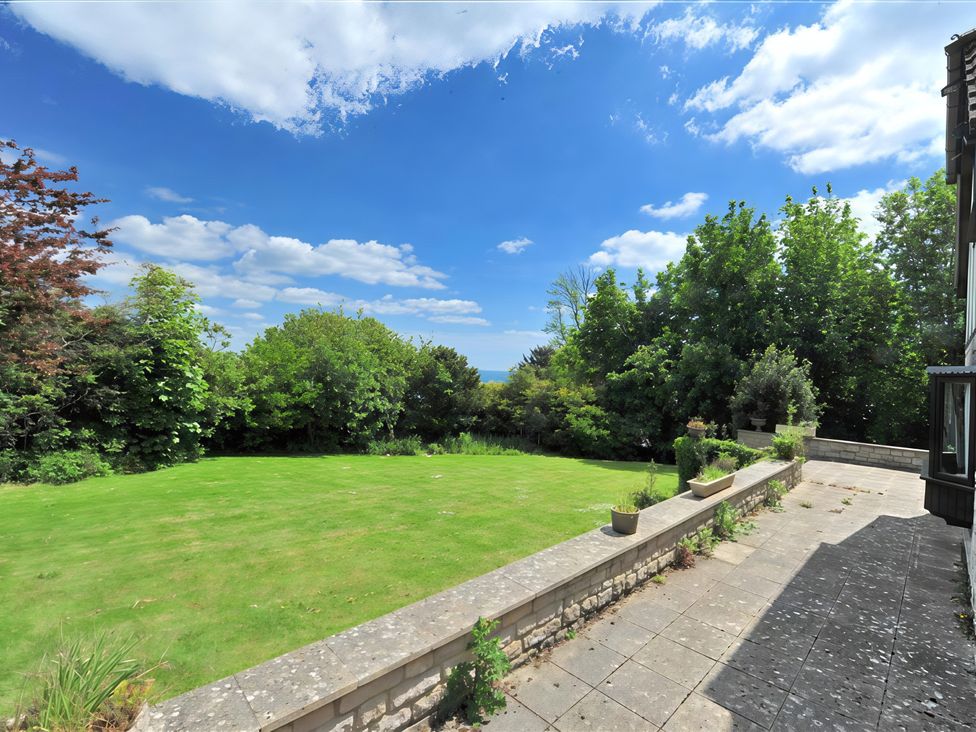 A garden with grass and trees at High Cliff Orchard Lyme Regis