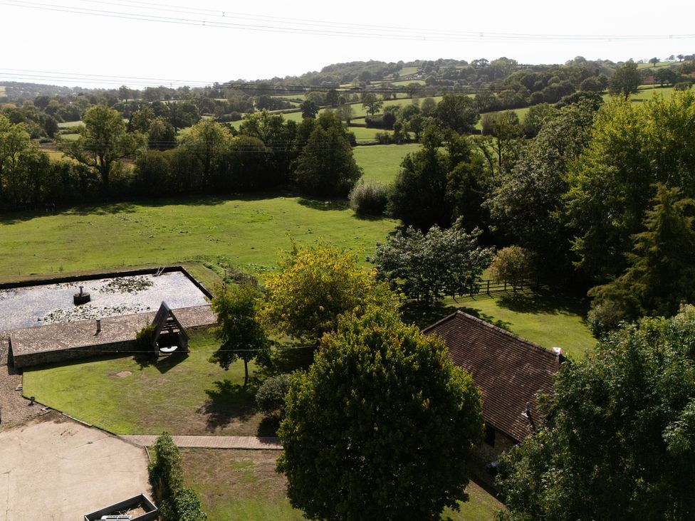 A garden with a pond and trees at The Cider House in Dalwood