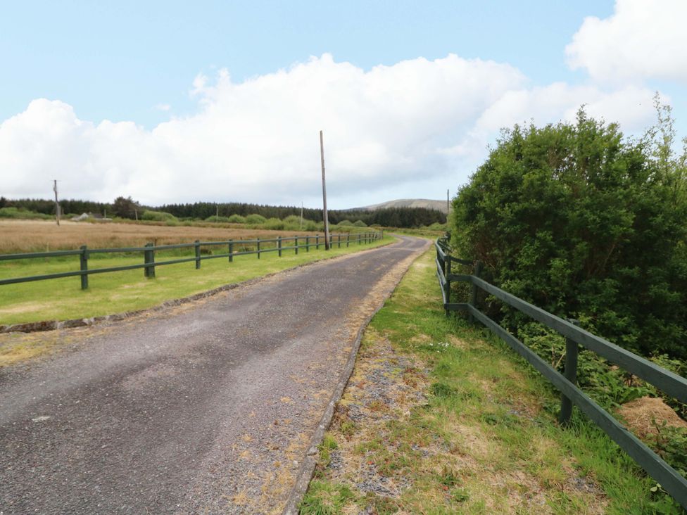 A road lined with a fence and bushes at Forest View, Ballinskelligs, County Kerry