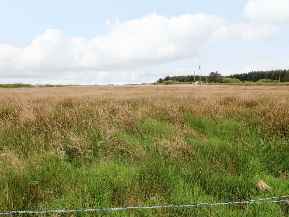An open field with grass and telephone poles at Forest View in Ballinskelligs, County Kerry