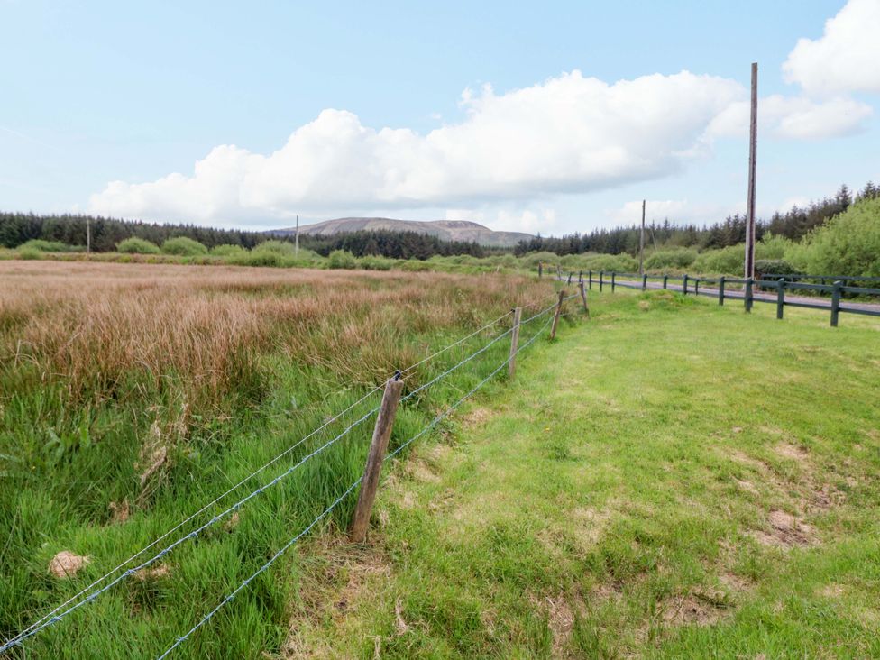 An outdoor scene with a barbed wire fence and trees at Forest View, Ballinskelligs, County Kerry
