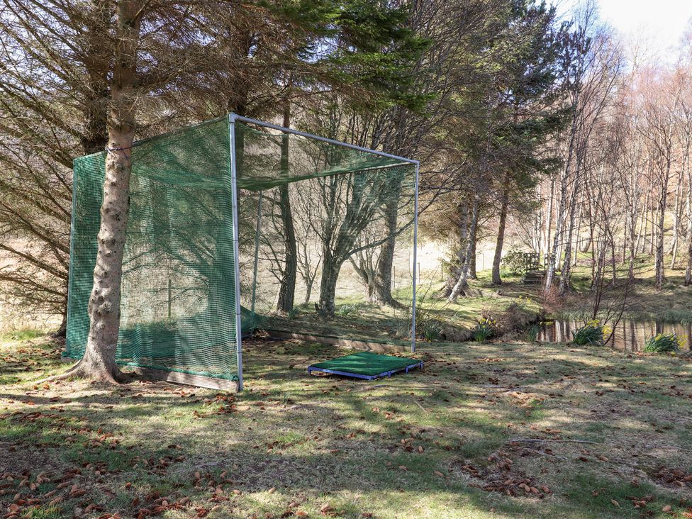 Birch - Scottish Highlands - 1107692 - thumbnail photo 37