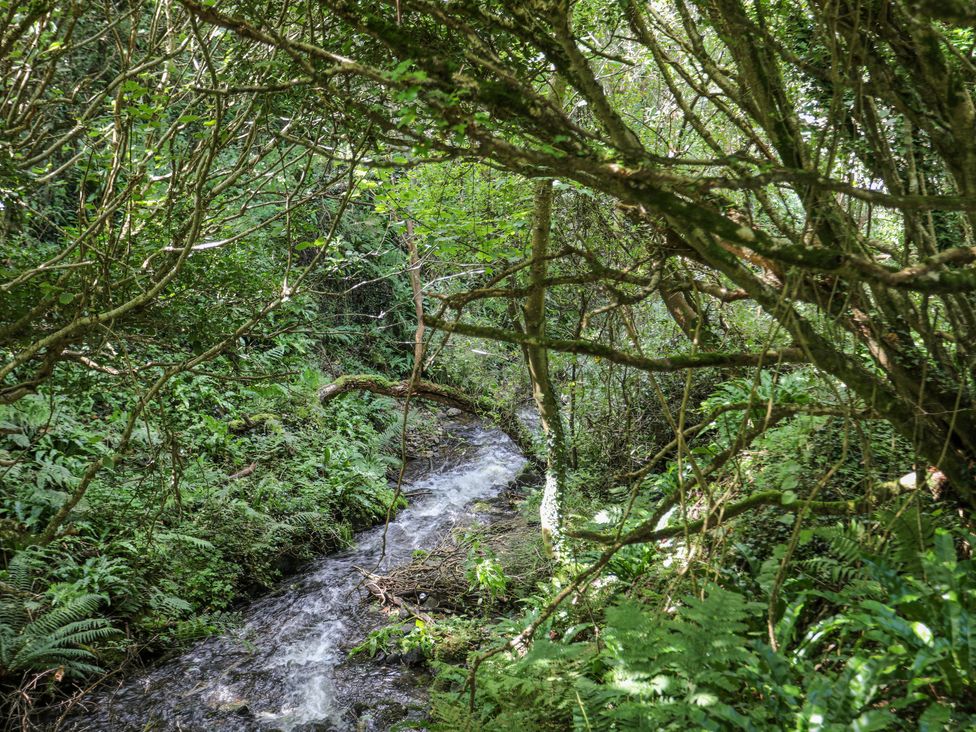 Tal Eryr - North Wales - 1107798 - thumbnail photo 49