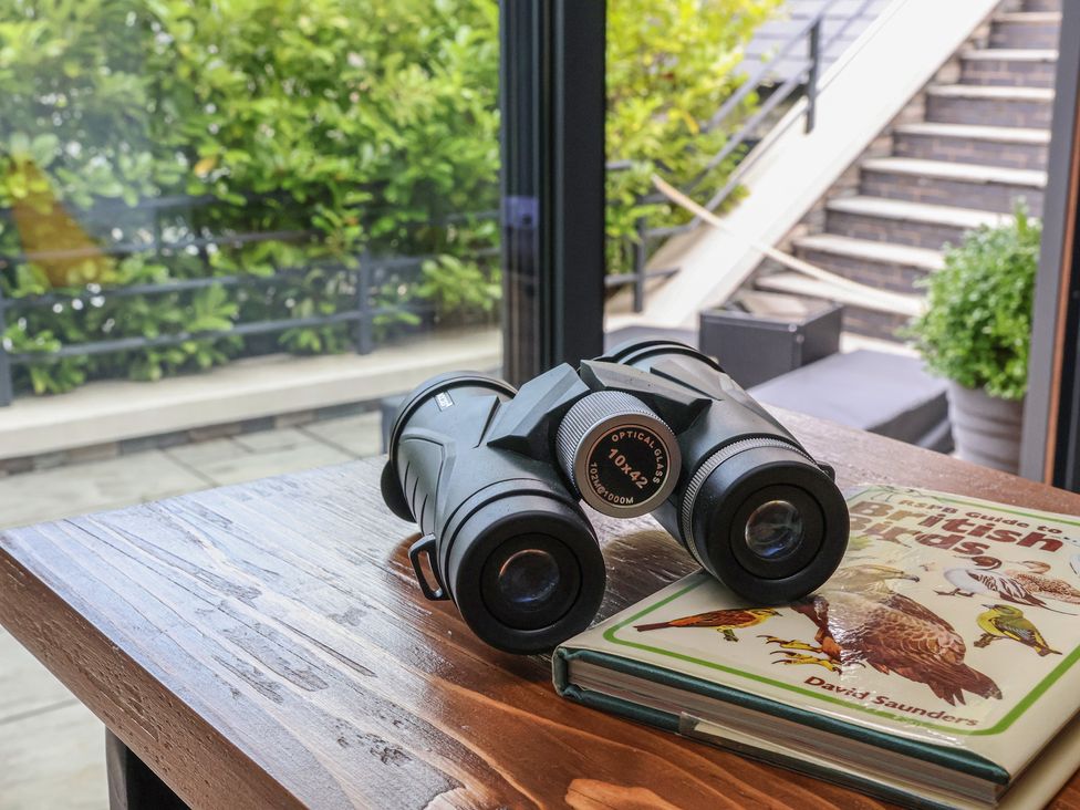 A wooden table with binoculars and a bird guide book at The Nest in Prestatyn