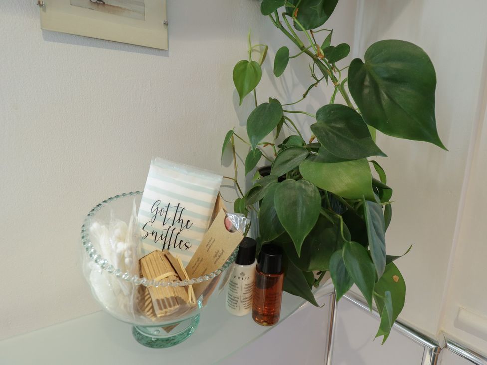A bathroom with toiletries and a plant at Hangmans cottage in Horncastle