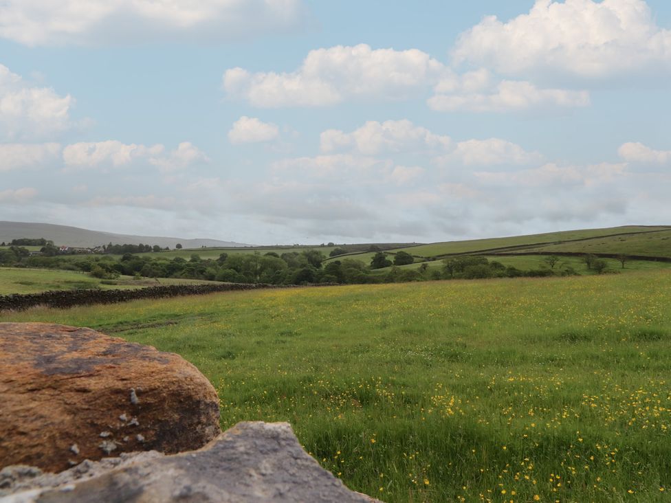 A landscape with grass and wildflowers at The Journeyman Luxury Shepherds Hut in Barnoldswick