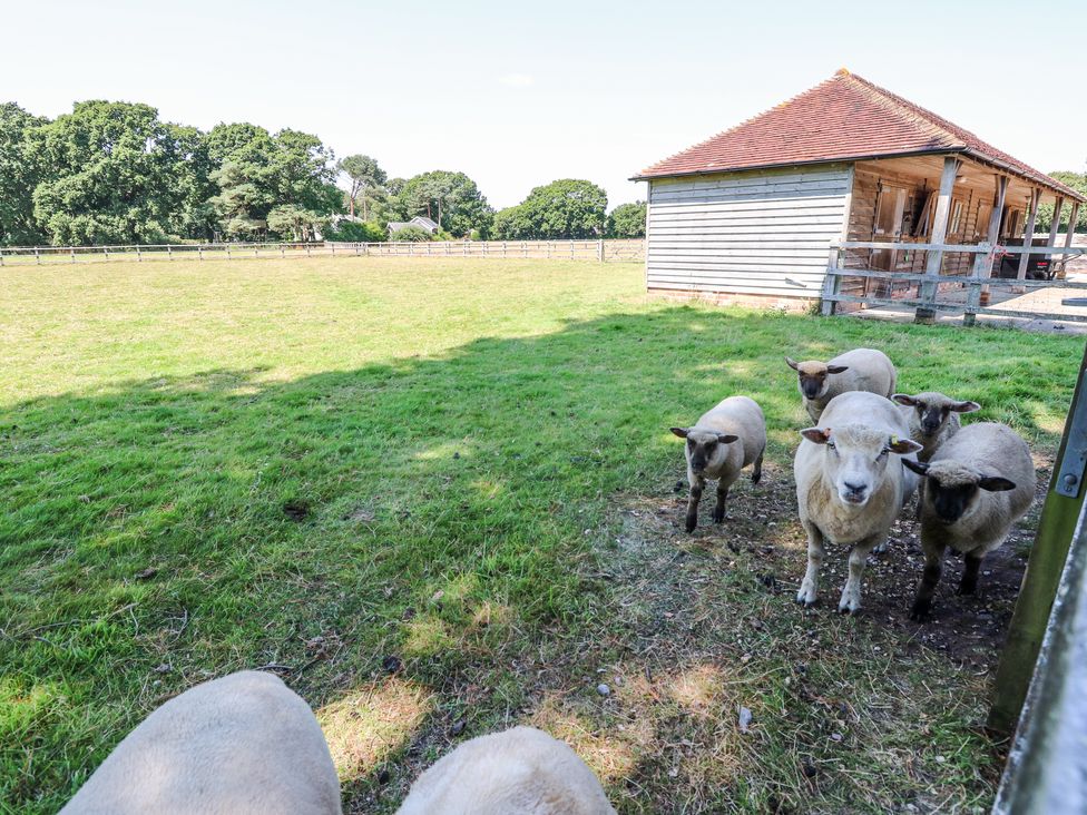 Lymington Lodge - Hampshire - 1109837 - thumbnail photo 29