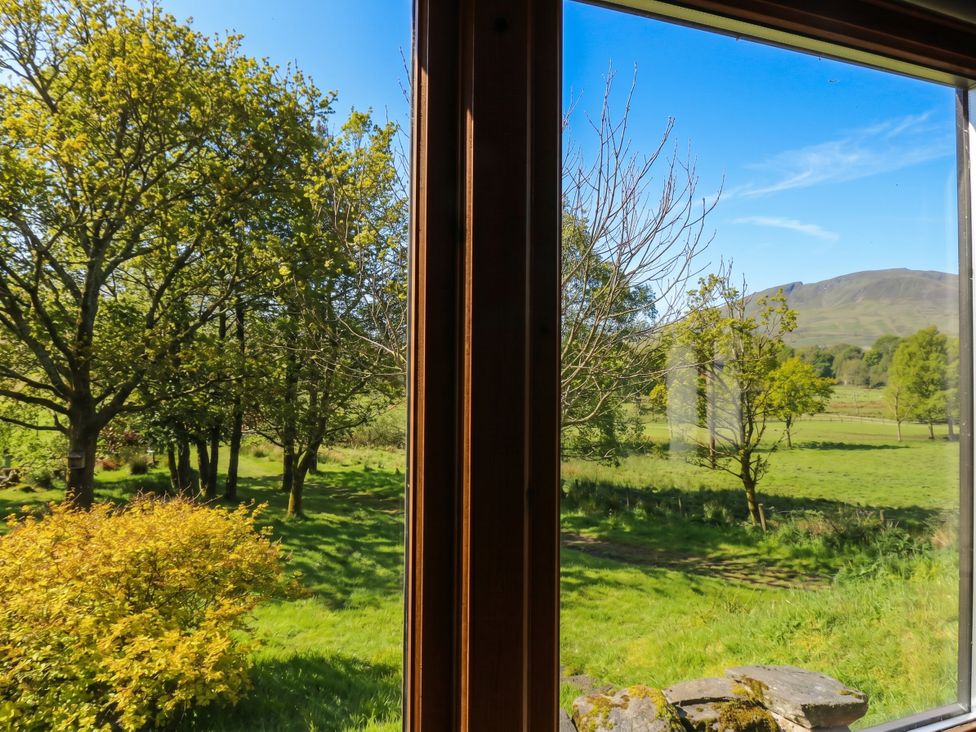 View of trees and grass from a window at Puidrac Cottage Balquhidder