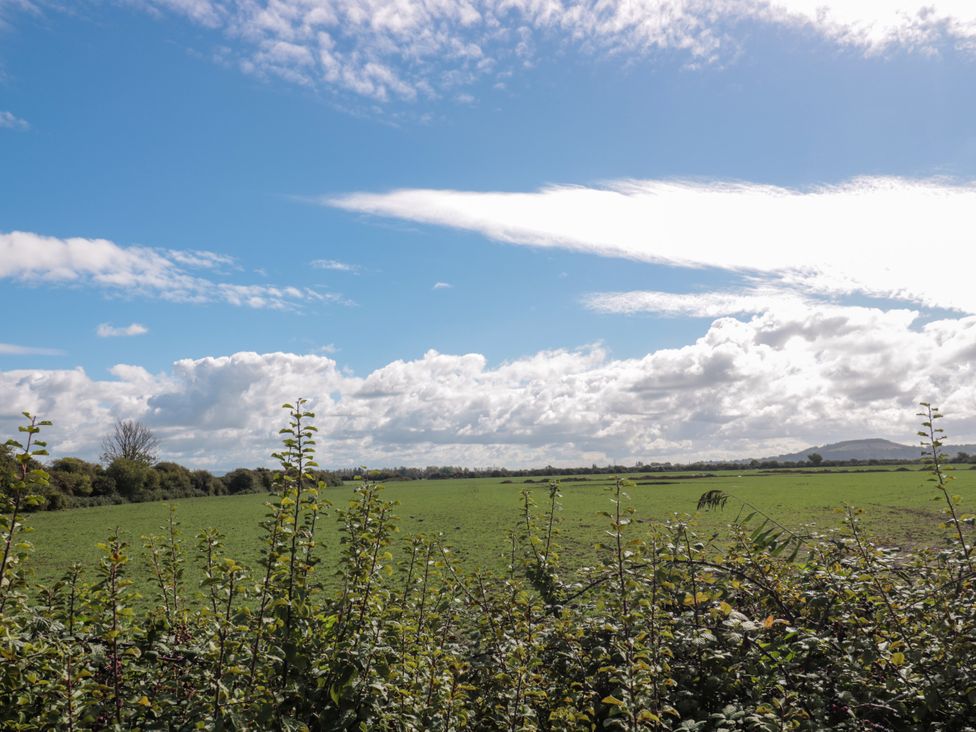 A field with bushes and clouds in the sky at Delphine Lodge, Meadow View Lodges Brean