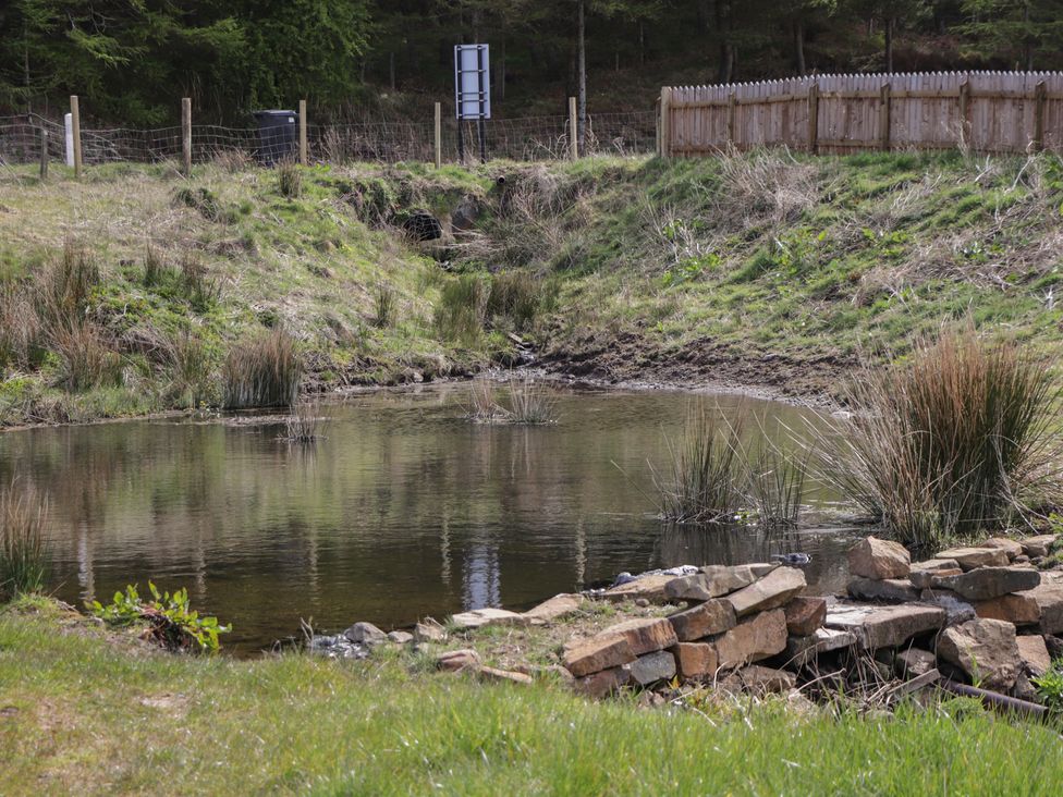 A pond surrounded by grass and a wooden fence at Falls Cottage in Uig